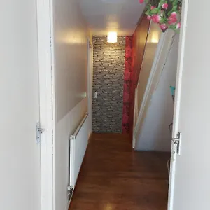 Luxury Apartment